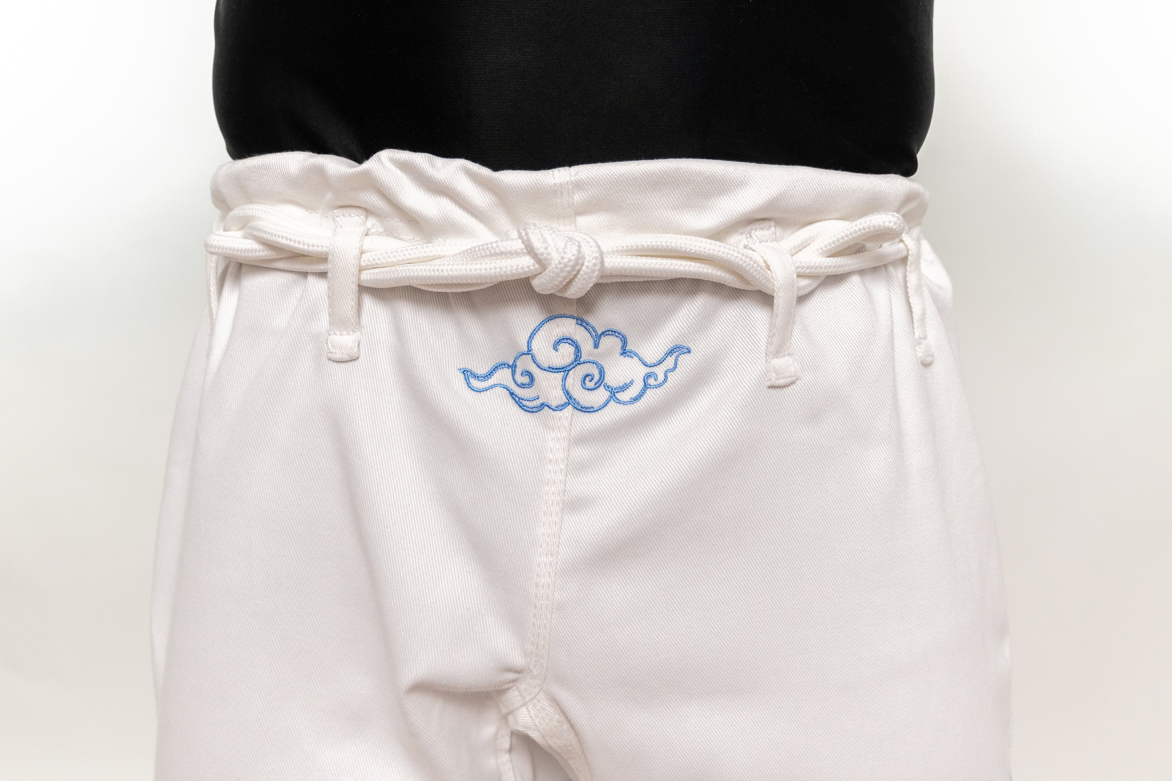 FIGHT NATION (NUVEM)