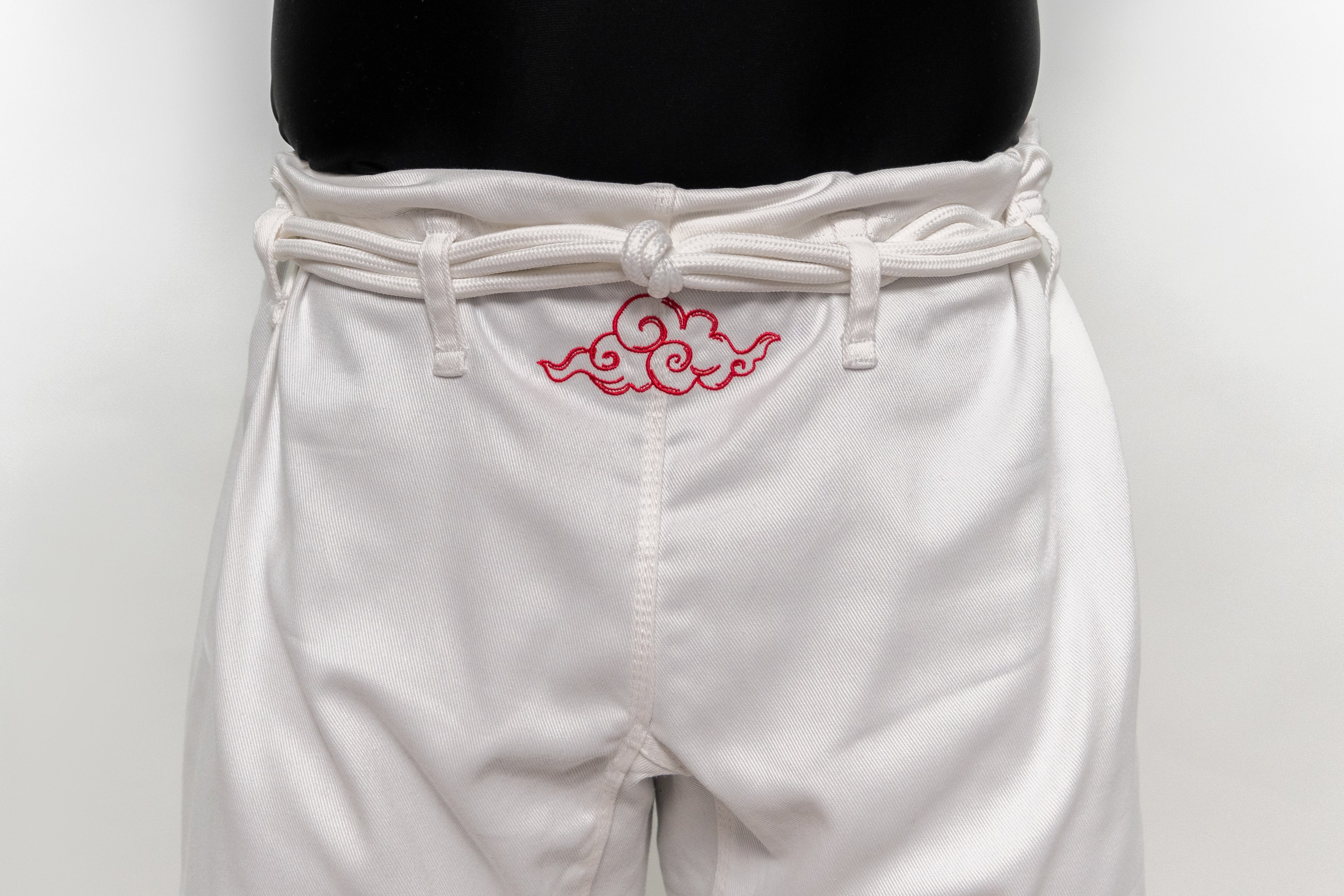 FIGHT NATION (NUVEM)